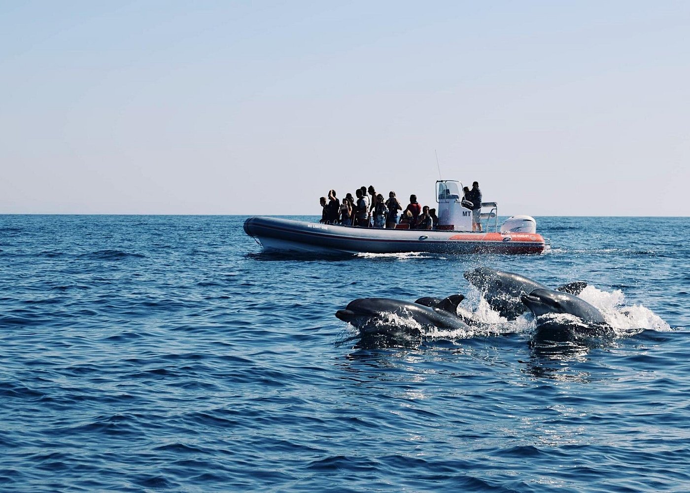 Dolphins Search and Benagil Caves from Albufeira